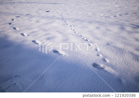 Snow-covered ground and footprints Snow-covered ground and footprints 121920386