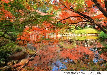 [Tokyo] A symmetrical teahouse and autumn leaves in the Japanese garden at the Tokyo Metropolitan Teien Art Museum 121920619