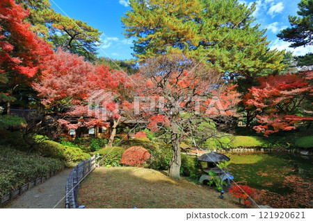 [Tokyo] A symmetrical teahouse and autumn leaves in the Japanese garden at the Tokyo Metropolitan Teien Art Museum 121920621