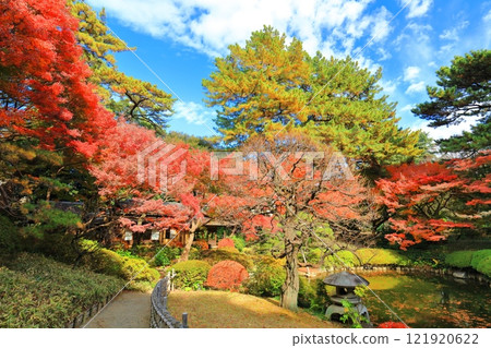 [Tokyo] Teahouse and autumn leaves in the Japanese garden at the Tokyo Metropolitan Teien Art Museum 121920622