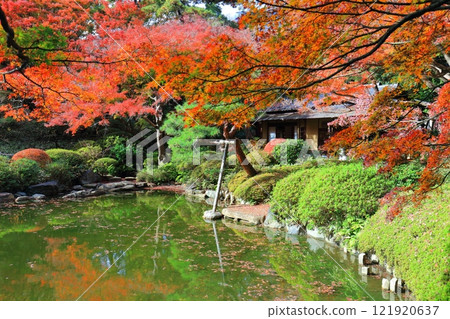 [Tokyo] A symmetrical teahouse and autumn leaves in the Japanese garden at the Tokyo Metropolitan Teien Art Museum 121920637