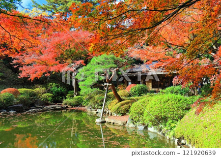 【東京】東京都庭園美術館對稱的日式庭園茶室與秋葉 121920639