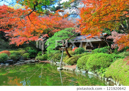 【東京】東京都庭園美術館對稱的日式庭園茶室與秋葉 【東京】東京都庭園美術館對稱的日式庭園茶室與秋葉 121920642