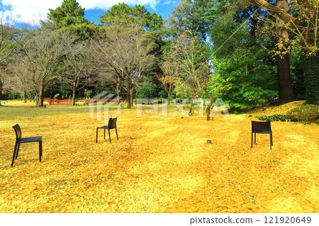 [東京] 東京都庭園美術館西洋庭園的銀杏地毯 121920649