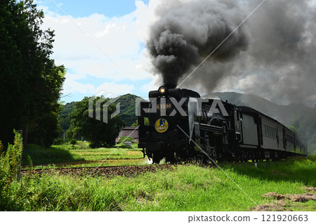 SL 山口 D51 1429- 121920663