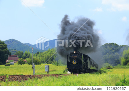 SL Yamaguchi D51 4645 SL Yamaguchi D51 4645 121920667