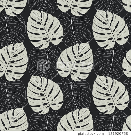 Monstera leaf pattern, white contour leaves and silhouette gray leaves monstera on dark background. 121920768