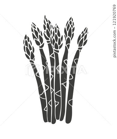 Asparagus silhouette, stylized sketch, isolated on white background. Asparagus silhouette, stylized sketch, isolated on white background. 121920769