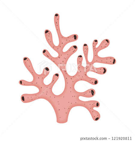 Coral reef branch. Fauna of sea underwater sponges. A marine plant with thick tubular structure. Underwater natural element hand drawing. Coral reef branch. Fauna of sea underwater sponges. A marine plant with thick tubular structure. Underwater natural element hand drawing. 121920811