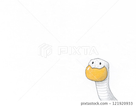 Snake holding a tangerine Snake holding a tangerine 121920933