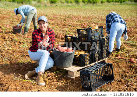 Woman farmer harvesting potato on farm field Woman farmer harvesting potato on farm field 121921610