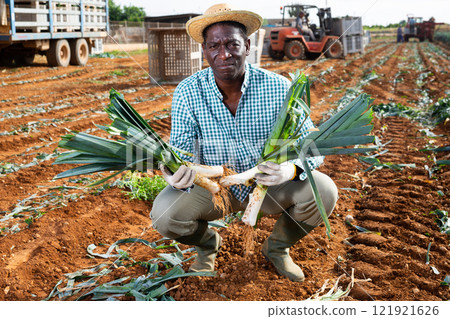 Successful african american horticulturist with leeks in hands during harvest 121921626