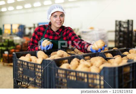 Young woman farmer inspects potatoes from crates 121921932