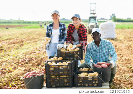 Farmers posing on vegetable plantation near pile of plastic boxes with freshly picked potatoes. Concept of successful agrarian business and rich potato harvest 121921955
