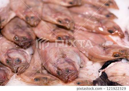 Fresh European sole fish Fresh European sole fish 121922329