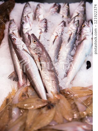 Crumbled ice, whole carcasses of silver hake fish trunk lie on its surface, close up 121922374