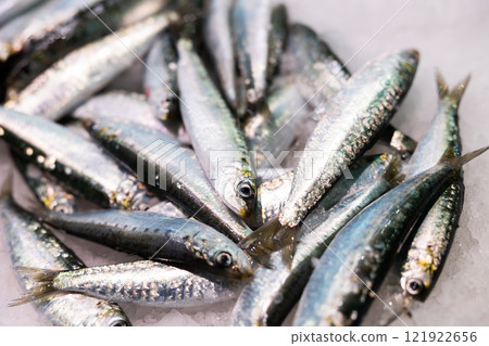 Crumbled ice, pile of sardine fish carcasses lie on its surface, close up 121922656