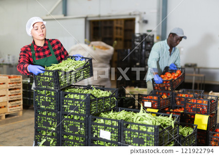 Factory workers stacking crates full of vegetables 121922794