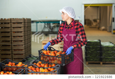 Young woman stacking crates full of tomatoes in warehouse Young woman stacking crates full of tomatoes in warehouse 121922886