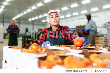 Woman working carefully sorts ripe tomatoes into boxes in factory warehouse 121922954