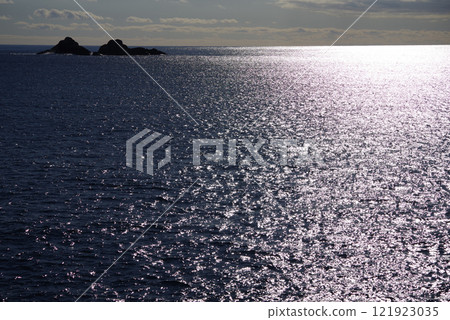 The Pacific Ocean sparkling in the sun [Shichirimihama, Kumano Sea] 121923035