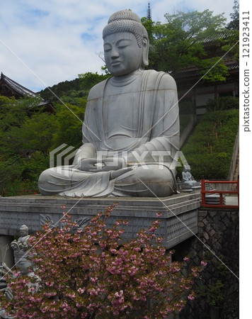 坪坂寺大佛 121923411