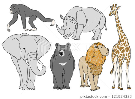 Hand-drawn illustration set of zoo favorites 121924383