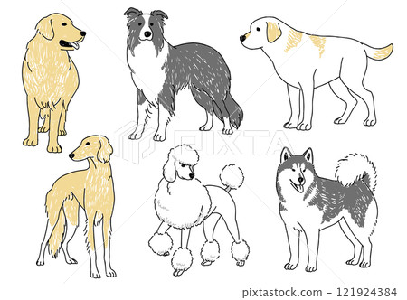 Hand-drawn illustration set of popular large dog breeds 121924384