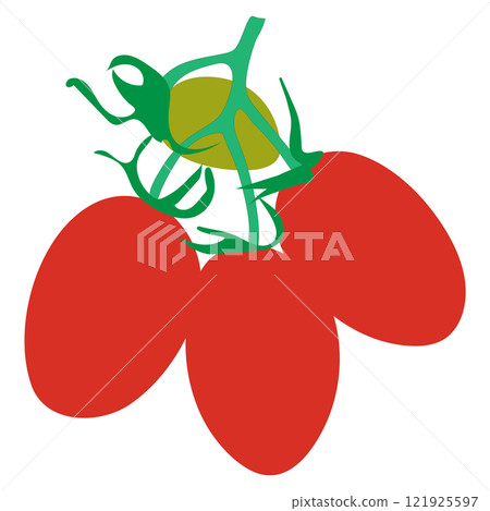 tomato fruit icon tomato fruit icon 121925597