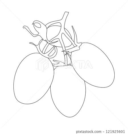 tomato fruit icon tomato fruit icon 121925601