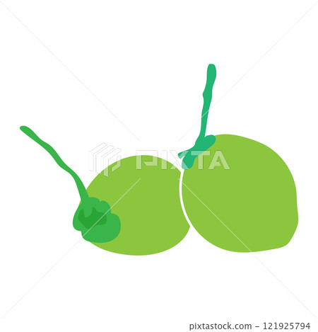 coconut fruit icon vector coconut fruit icon vector 121925794