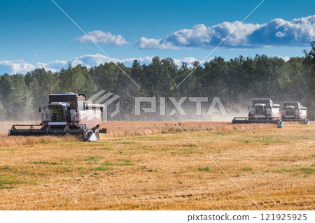 Modern combine harvesters working in the field on a clear sunny day Modern combine harvesters working in the field on a clear sunny day 121925925