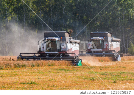 Modern combine harvesters working in the field 121925927