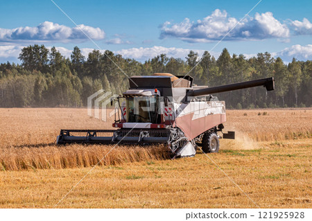 Modern combine harvester working in the field on a clear sunny day 121925928
