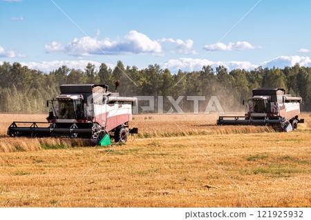 Modern combine harvesters working in the field 121925932