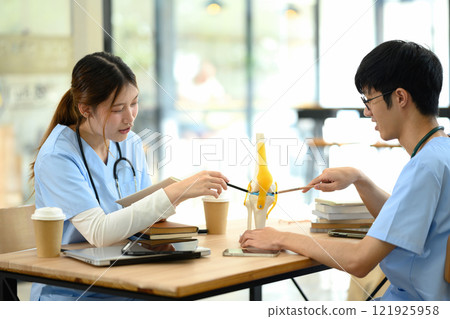 Two medical students discussing anatomy using skeletal model and taking notes Two medical students discussing anatomy using skeletal model and taking notes 121925958