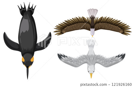 Birds in Flight: Aerial Perspectives 121926160