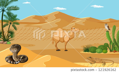 Desert Biodiversity and Wildlife Illustration 121926162