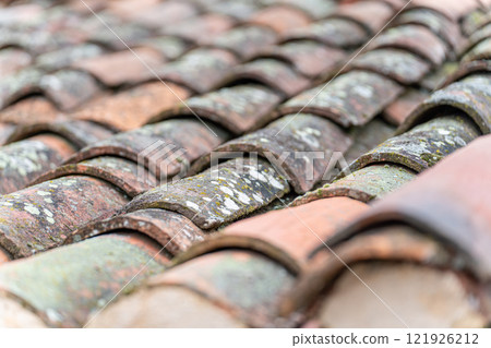 Rustic Clay Roof Tiles with Moss Detail Rustic Clay Roof Tiles with Moss Detail 121926212