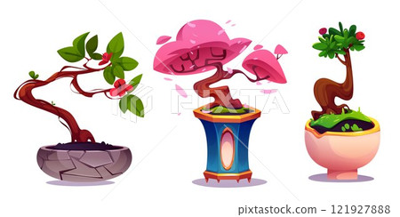 Small bonsai garden set with decorative elements 121927888