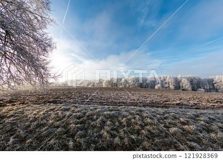 Frost-covered serene winter landscape, Vysocina, Czech Republic 121928369