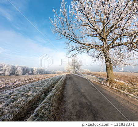 Frost-covered serene winter landscape, Vysocina, Czech Republic Frost-covered serene winter landscape, Vysocina, Czech Republic 121928371