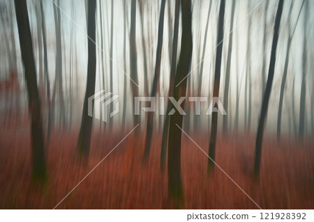 Trees in the forest with fog. Blurred - photographed with movement as art. Concept for landscape with winter nature. Cold weather with fog in winter time. Trees in the forest with fog. Blurred - photographed with movement as art. Concept for landscape with winter nature. Cold weather with fog in winter time. 121928392