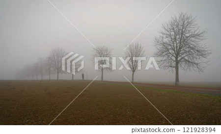 Trees in the fog. Concept for landscape with winter nature and environment. Cold weather with fog in winter time. 121928394