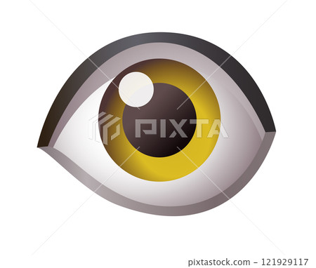 Single human eye, looking forward icon Single human eye, looking forward icon 121929117