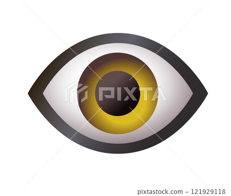 Single human eye, looking forward icon Single human eye, looking forward icon 121929118