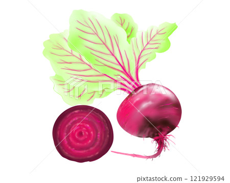 甜菜根圖 121929594