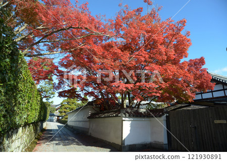 Autumn leaves on the approach to Chokoin Temple, Myoshinji Temple, Hanazono, Ukyo Ward, Kyoto City 121930891