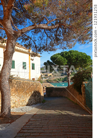 Nature of Liguria by sea. Pine trees and city buildings on sunny day. Travelling, Italy sights and holidays. Nature of Liguria by sea. Pine trees and city buildings on sunny day. Travelling, Italy sights and holidays. 121931258