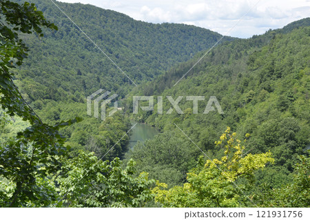 Kupa River 121931756